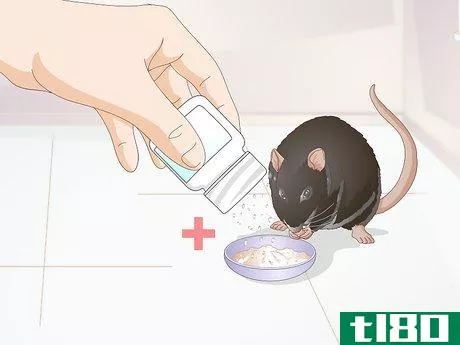 Image titled Identify Pinworms in Mice Step 5