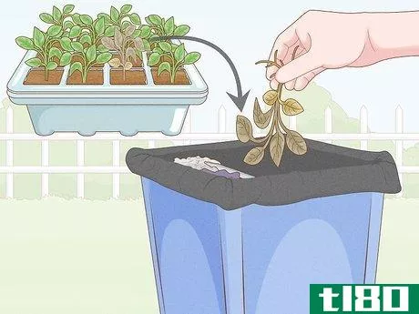 Image titled Grow Tobacco Inside Step 9