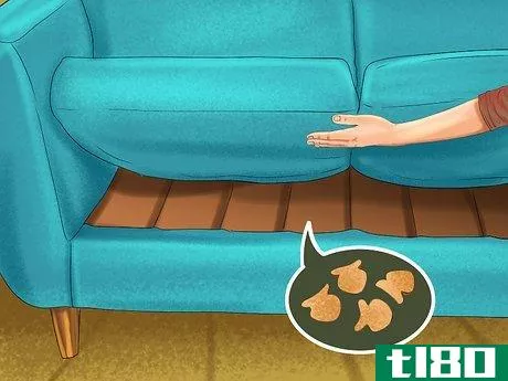 Image titled Hide Treats for Your Cat Step 1