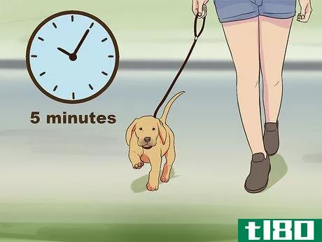 Image titled Introduce a Puppy to a Senior Dog Step 16