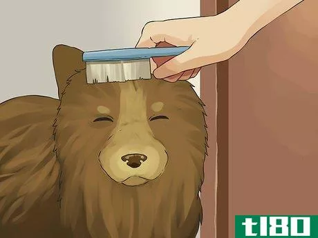 Image titled Give a Small Dog a Bath Step 6