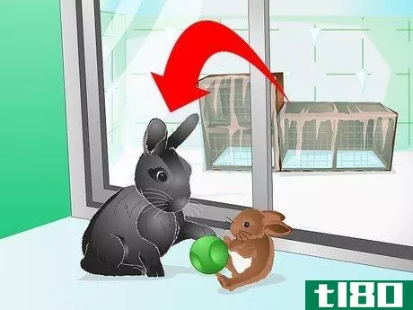 Image titled Keep a Rabbit Warm Step 11
