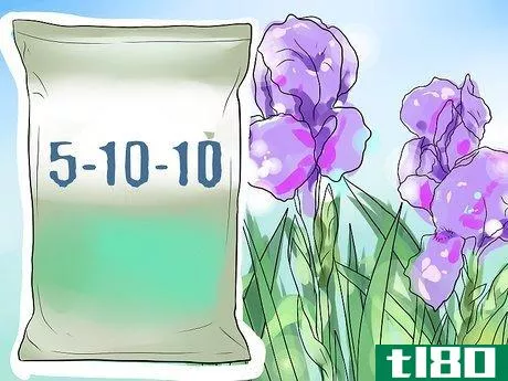 Image titled Get Irises to Bloom Step 10