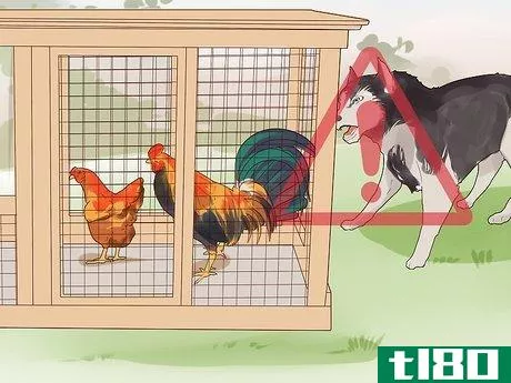 Image titled Introduce a Dog to Pet Chickens Step 9