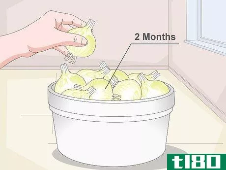 Image titled Grow Sweet Onions Step 16