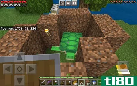 Image titled Temporary Dirt Pen for a Minecraft Turtle.png