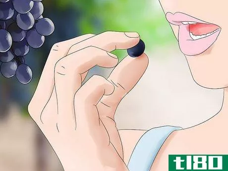 如何收获葡萄(harvest grapes)