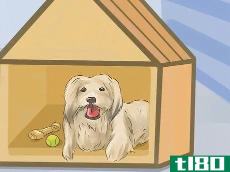 Image titled Help Your Dog Live Longer Step 7