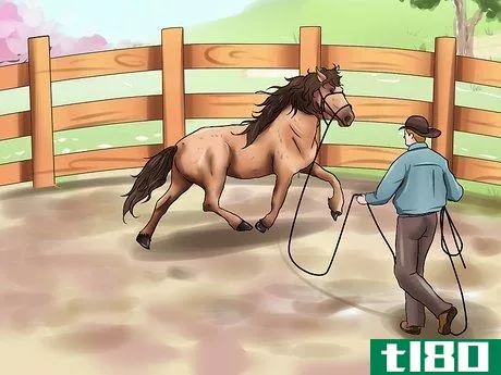 Image titled Get a Head Shy Horse To Trust You Step 2