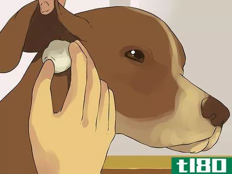 Image titled Give a Small Dog a Bath Step 8