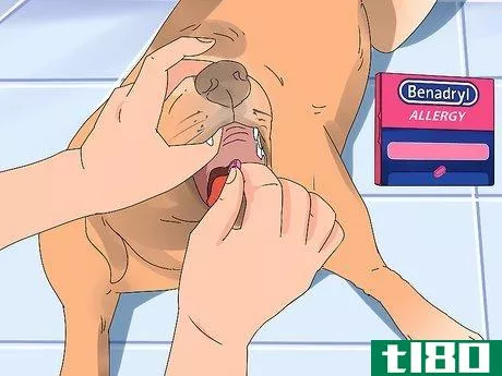 Image titled Give a Dog Benadryl Step 8