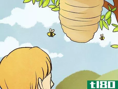 Image titled Help Save Honey Bees Step 6