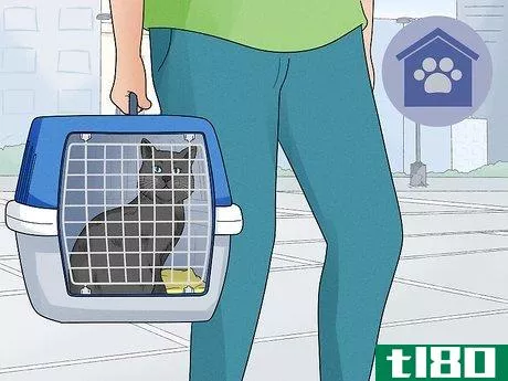 Image titled Help Homeless Animals Step 13