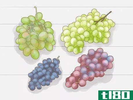 如何用种子种植葡萄(grow grapes from seeds)
