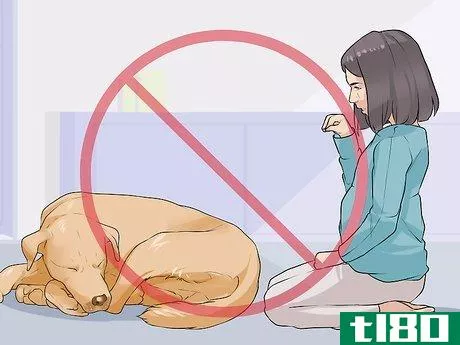 Image titled Handle Sleep Aggression in Senior Dogs Step 8