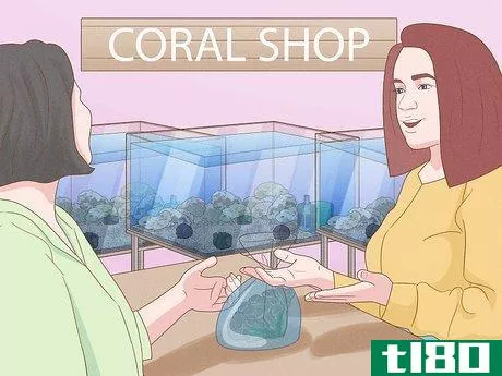 Image titled Help Prevent Coral Bleaching Step 7