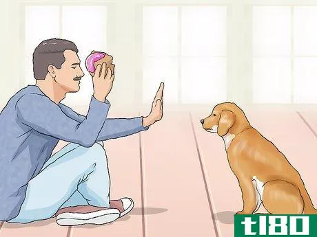 Image titled Handle Dog Begging for Food Step 9