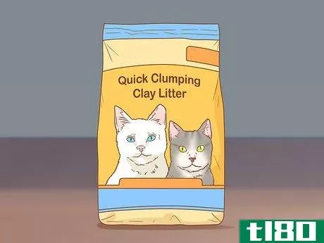Image titled Keep Litter from Clumping in Your Kitty's Paws Step 2