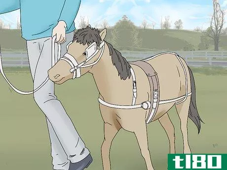 Image titled Keep a Miniature Horse Fit Step 12