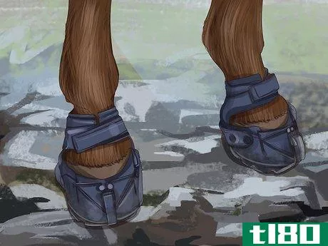 Image titled Know if Your Horse Needs Shoes Step 9