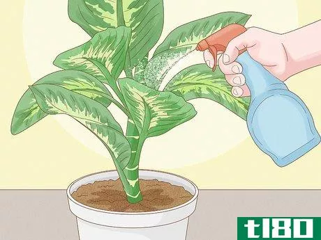Image titled Get Rid of Thrips Indoors Step 12