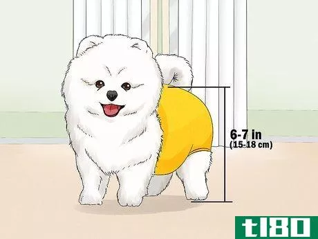 Image titled Identify a Pomeranian Step 1