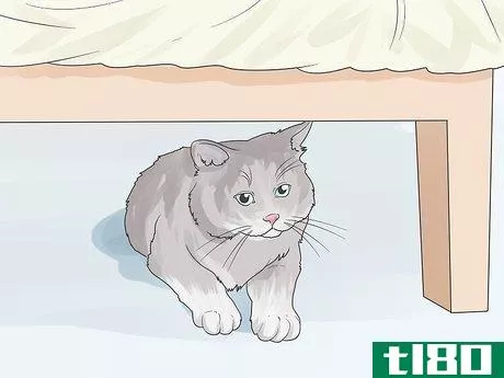Image titled Help a Cat with Anxiety Step 11