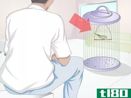Image titled Get Rid of Mites on Budgies Step 1