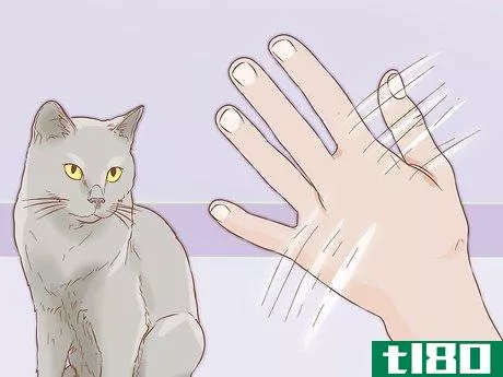 Image titled Help a Deaf Cat Step 5