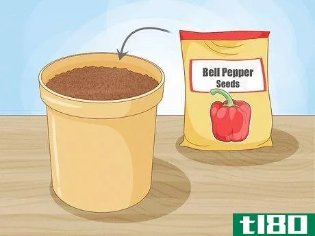 如何种植甜椒(grow bell peppers)