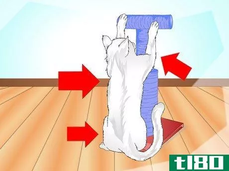 Image titled Get Your Cat to Use a Scratching Post Step 11