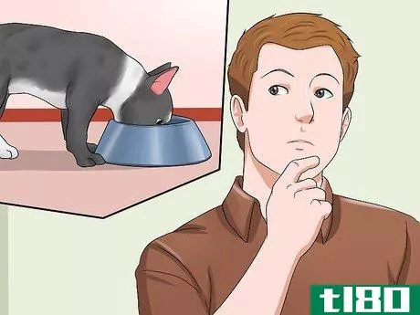 Image titled Help Your Dog Lose Weight Step 13