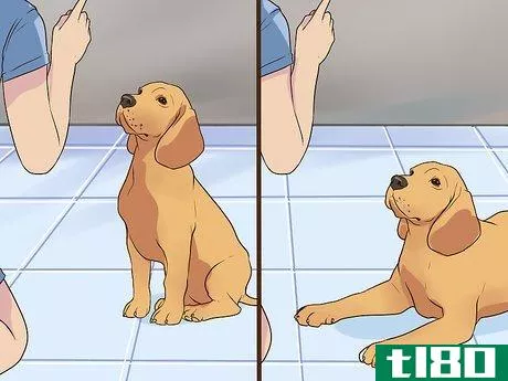 Image titled Introduce a Puppy to a Senior Dog Step 14