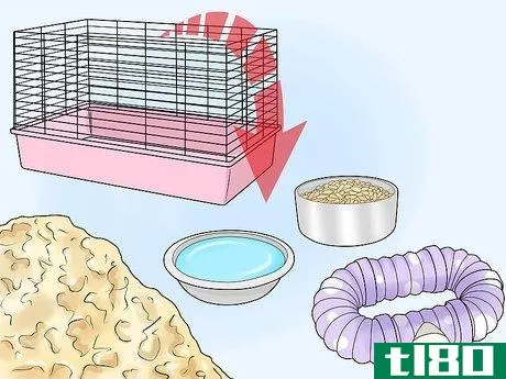 Image titled Get Rid of Mites on Hamsters Step 4