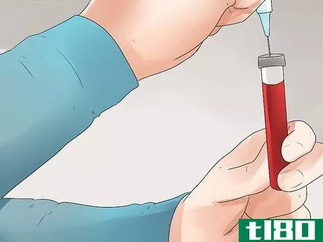 Image titled Approach Whole Blood Transfusions in Horses Step 7