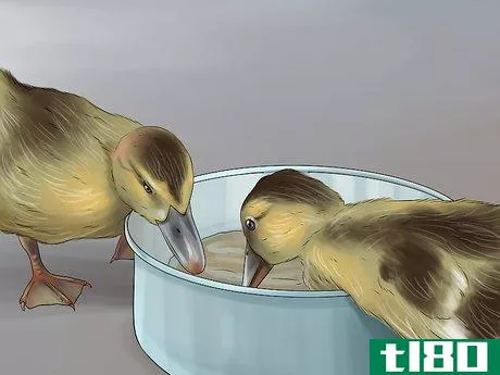 Image titled Hatch a Mallard Duck Egg Step 13