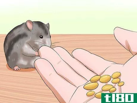 Image titled Handle a Hamster Without Being Bitten Step 3