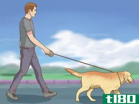 Image titled Help a Pet Grieve Step 2