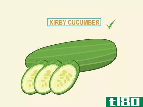 如何种黄瓜泡菜(grow cucumbers to pickle)
