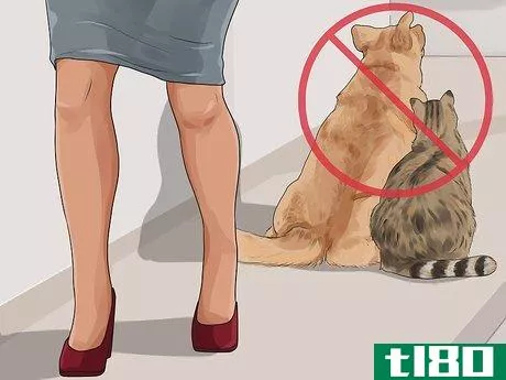 Image titled Know if a Pet Bite Is Serious Step 13