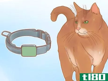 Image titled Have Fun with Your Cat Step 17