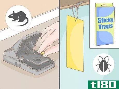 Image titled Get Rid of Household Pests Without Chemicals Step 12