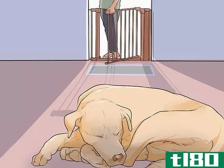 Image titled Handle Sleep Aggression in Senior Dogs Step 4