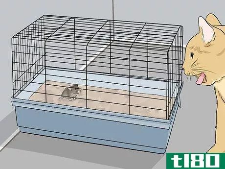 Image titled Keep Pet Mice Safe from Other Pets Step 3