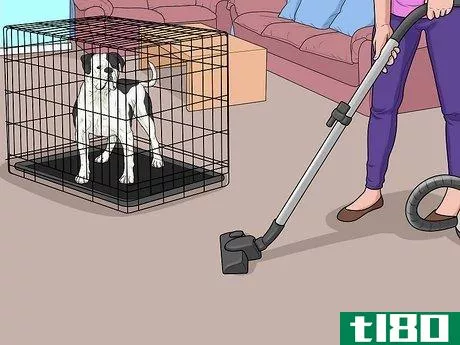 如何不要让狗追逐吸尘器(keep a dog from chasing the vacuum cleaner)