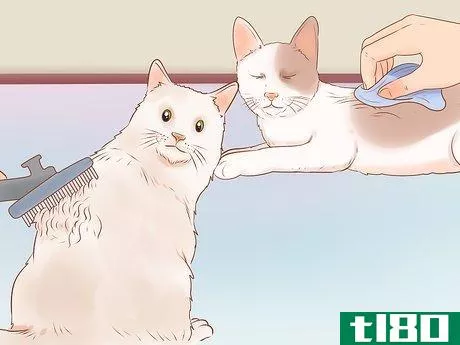 Image titled Know if Your Cat Is Sick Step 13