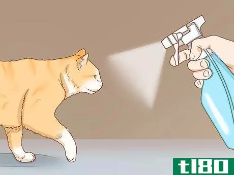 Image titled Help a Deaf Cat Step 7
