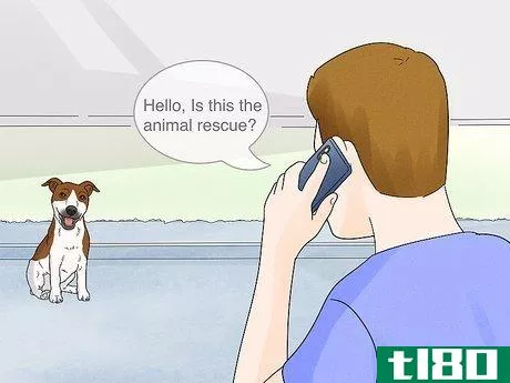 Image titled Help Homeless Animals Step 27
