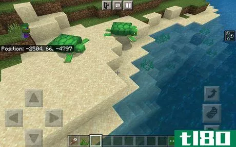 Image titled Turtle Pair on a Sandy Beach (Minecraft)