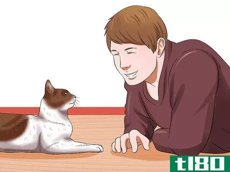 Image titled Introduce an Older Cat to a New Dog Step 12